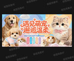 宠物店海报