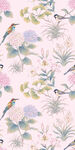 花鸟图案背景
