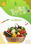 蔬菜海报