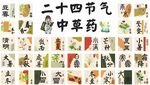 二十四节气中草药