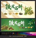 铁皮石斛宣传海报
