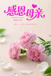 感恩母亲 康乃馨 母亲节