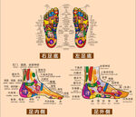 足部穴位海报图片素材