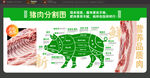猪肉分割图 肉海报