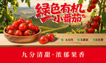 田园西红柿圣女果小番茄展板海报