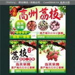 高州荔枝