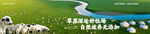 草原海报