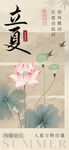 立夏时节荷花绽放图景
