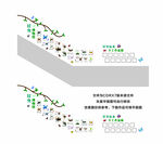 昆虫博物馆