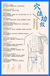 穴位功效图展示