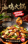 美味土鸡火锅诱人呈现