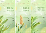 地产520小满芒种麦穗海报