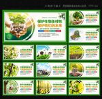保护生物多样性