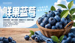 蓝莓促销水果海报