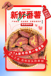 番薯