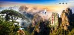 泰山迎客松