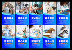 宠物医院海报