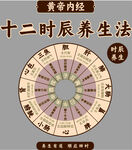 十二时辰养生法