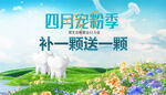 四月宠粉季补一送一活动
