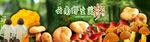 野生菌海报
