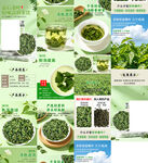 花详详情