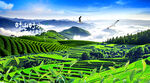 茶园