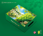 阳光玫瑰包装 葡萄礼盒