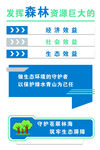森林资源经济效益与保护