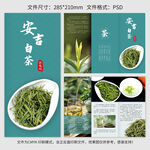安吉白茶宣传册三折页