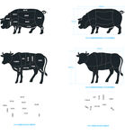 猪肉牛肉立体分割图