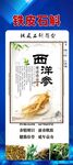 夏季养生优质西洋参滋补好选择