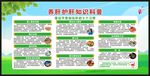 全国爱肝日宣传栏