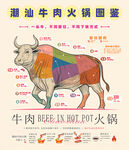 潮汕牛肉火锅部位图鉴
