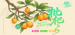 枇杷