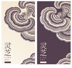 灵芝
