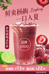 多肉杨梅冰柠茶柠檬茶海报