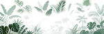 雾气磨砂膜效果绿植贴图