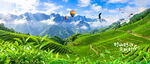 茶山