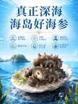 海参设计