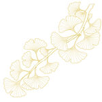 金色银杏枝叶图案 矢量图