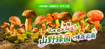 野生菌广告  