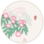 合欢花矢量插画