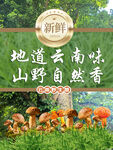 野生菌广告