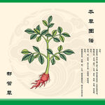 都管草草药图示