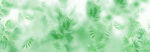 雾气磨砂绿植背景墙山水画水墨画