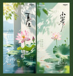 夏至小暑荷花节气海报