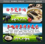 海参煲羊肉