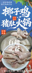 椰子鸡猪肚火锅 猪肚鸡 椰子鸡