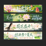 荷花条幅