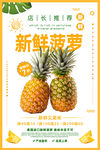 菠萝